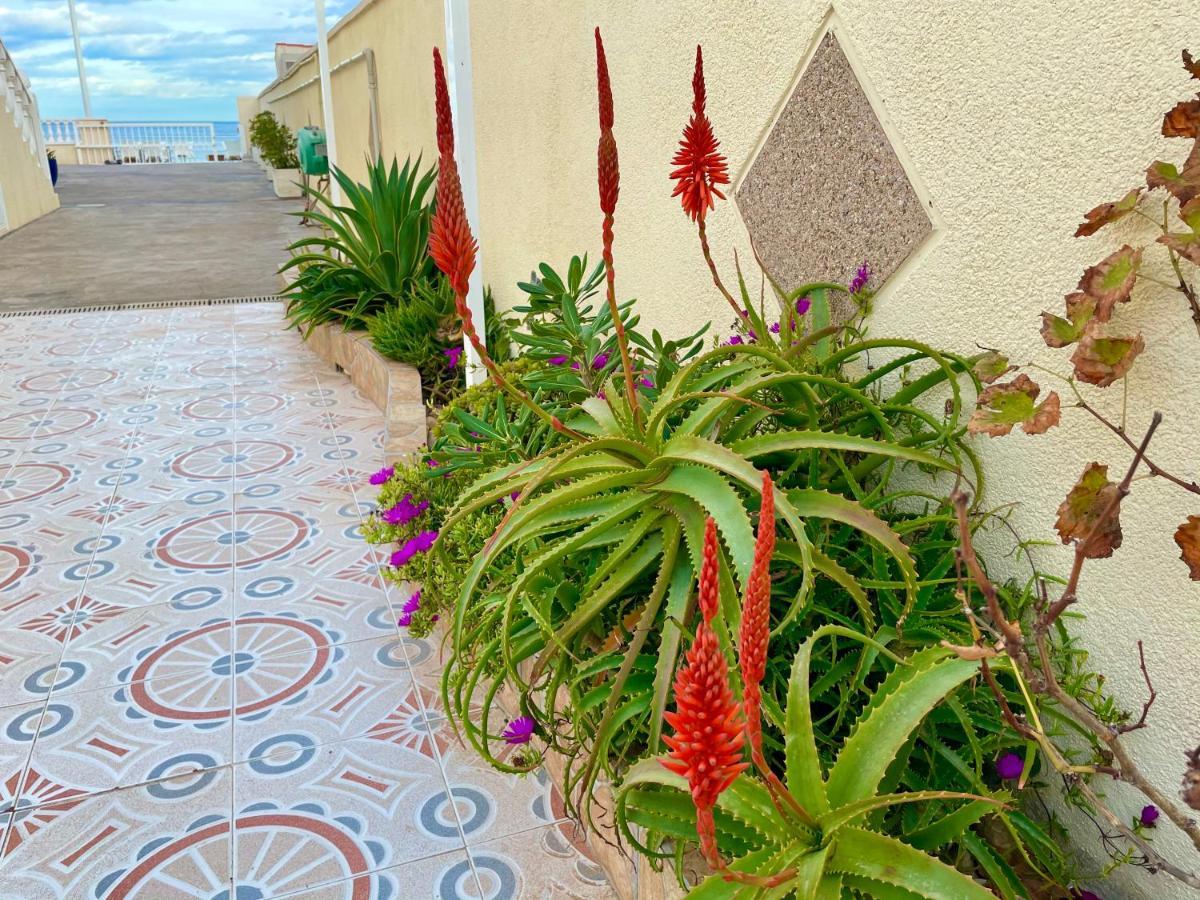 Royal Beach House Vista Mar La Mata  Eksteriør bilde